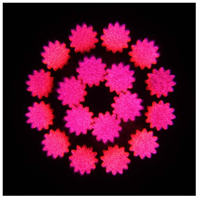 EVOLIGHTS NEO BEAM 100W głowica ruchoma LED