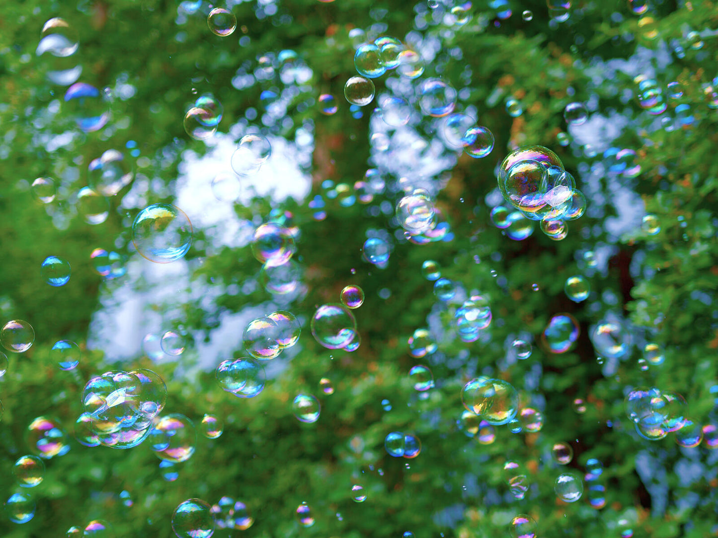 EUROLITE AKKU BW-300 Bubble Machine