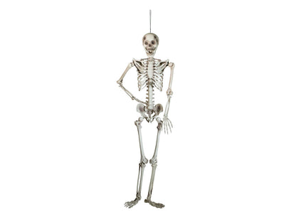EUROPALMS Halloween Skeleton, 150 cm