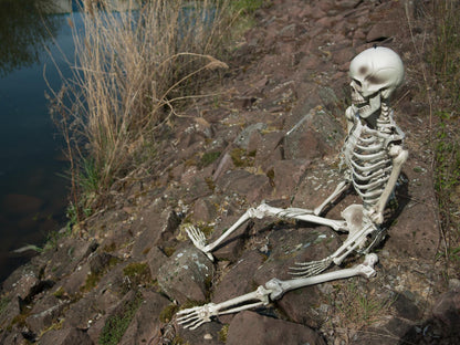 EUROPALMS Halloween Skeleton, 150 cm